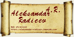 Aleksandar Radičev vizit kartica